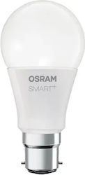 Osram LED Glühbirne für Fassung B22 RGBW