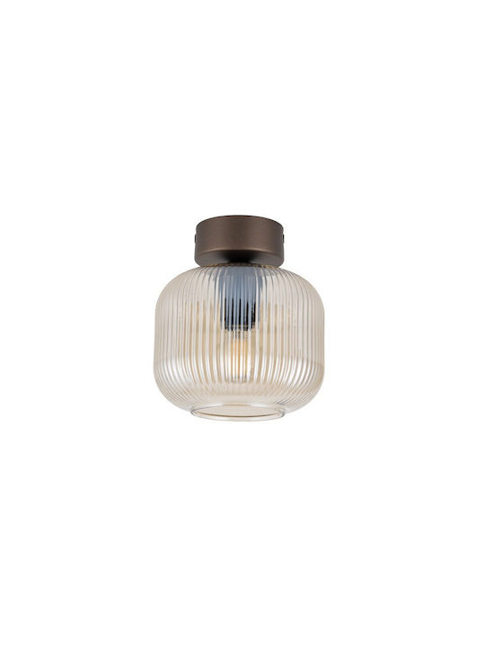 TK Lighting Luminiță De Tavan Montată 17 Cm