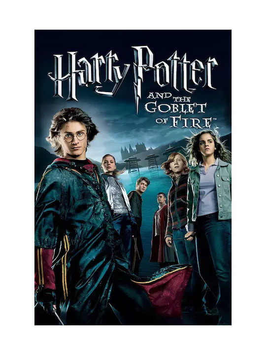 Poster Harry Potter Pocalul De Foc Mv384 40cm X 50cm-71821pd159582