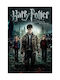 Harry Potter Deathly Hallows Част 2 Mv388 60см X 90см-71825pd159612