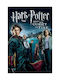 Poster Harry Potter Goblet Fire Mv384 60cm X 90cm-71821pd159584