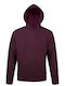 Burgundy Hooded Sweatshirt