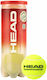 Head Championship — Tennisbälle 3