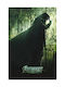 Poster Avengers Doomsday Mv396 21cm X 30cm-71836pd159700