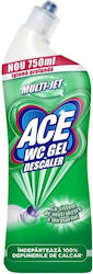 Ace Grund / Primer 0.75lt