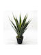 Artificial Decorative Aloe Plant 67cm Realistic Look Green Decoration Maintenance-Free Office & Home