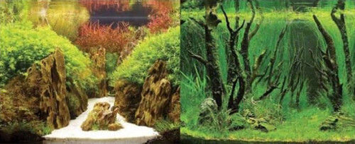 Hobby Постер Тропически Каньон Woodland 2 Странен 0,50x25см Hobby 4011444310170