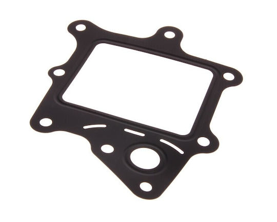 Garnitură Valvă Egr Fiat Ducato Citroen Jumper 504375693