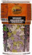 Wilton 4 1 Mischung Paspalissma Spooky Halloween
