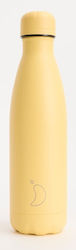 Chilly's Thermos Bottle Stainless Steel BPA Fre...