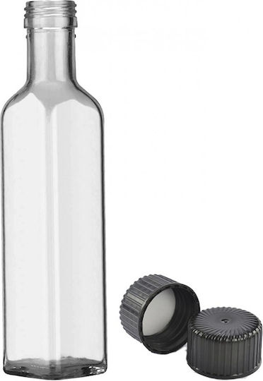 Homestyle Water Bottle Glass with Screw Lid Transparent 500ml