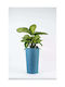 Adoni Plastic Blue Flower Pot 28x47cm