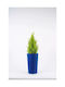 Adoni Plastic Blue Flower Pot 22x36cm