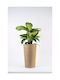 Adoni Kunststoff Blumentopf Juta 47x28x47cm