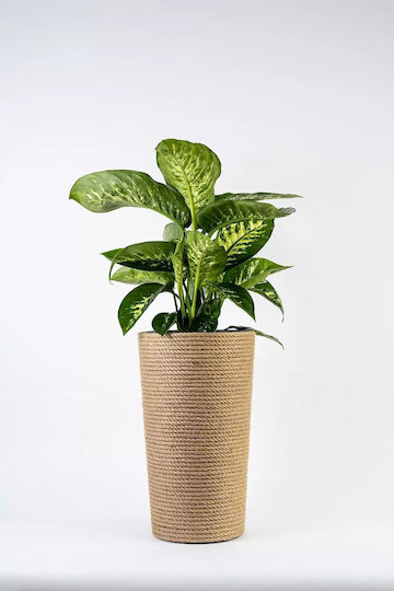Adoni Kunststoff Blumentopf Juta 47x28x47cm Adoni Kunststoff Blumentopf Juta 47x28x47cm