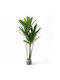 Artificial Decorative Dracaena Plant 150cm Realistic Green Decoration Ideal For Living Room Office Entrance Maintenance Free
