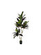 Artificial Decorative Cordyline Plant 170cm Potted Green Red-Tipped Realistic Look Living Room & Office