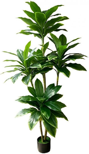Artificial Decorative Dracaena Compacta Potted Plant 170cm – Lush Foliage & Realistic Appearance Ideal For Living Room Office & Professional Spaces