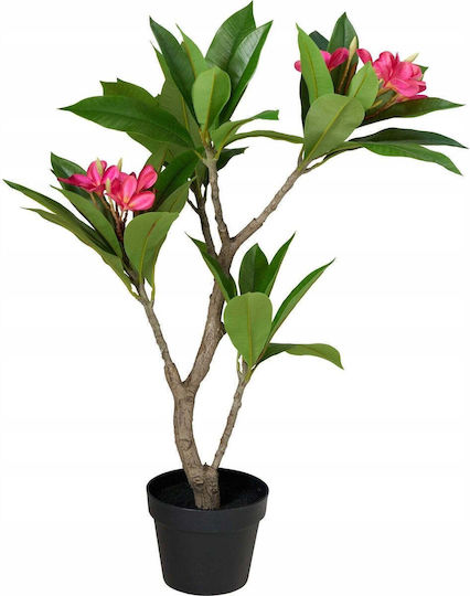 Magnolie Topfpflanze 90cm Verschiedene Designs Kaemingk