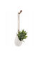 Artificial Potted Plant 13cm (Various Designs) Atmosphera