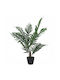 Black Potted Palm Tree 85cm