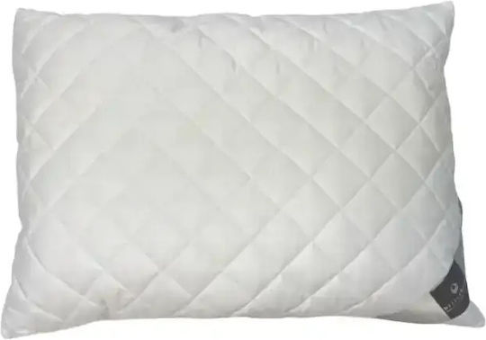 Billerbeck Classic Poliester 50x70cm