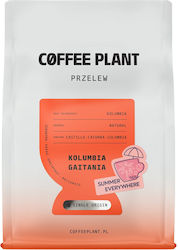 Coffee Plant Φίλτρου σε Κόκκους 250gr Coffee Plant Φίλτρου σε Κόκκους 250gr