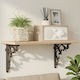 vidaXL Heavy-Duty Shelf Brackets Made of Stainless Steel in Black Colour 100x100mm 2 Pieces 42038827