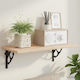 vidaXL Heavy-Duty Shelf Brackets Made of Stainless Steel in Black Colour 210x210mm 12 Pieces 42038914