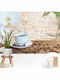 Brown Wall Wallpaper 208x146cm