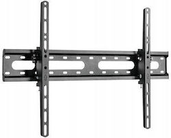 Fiber Novelty TV-Halterung Wandmontage Bis 75" Und 45kg Fiber Novelty TV-Halterung Wandmontage Bis 75" Und 45kg