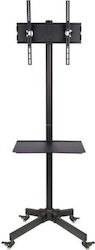 Ergosolid Βάση Τηλεόρασης Δαπέδου έως 55"