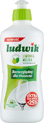 Ludwik 