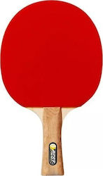 Ρακέτα Ping Pong για Αρχάριους Παίκτες Ρακέτα Ping Pong για Αρχάριους Παίκτες