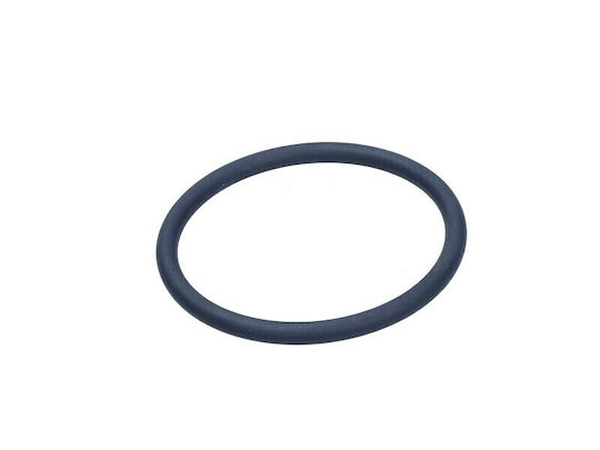 Porsche Cayenne 11-18 Thermostat Dichtung