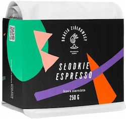 Bracia Ziółkowscy Espresso Chocolate σε Κόκκους 250gr