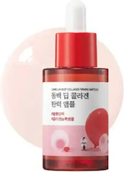 Round Lab Kamelien Tiefen Kollagen Ampulle 30ml Round Lab Kamelien Tiefen Kollagen Ampulle 30ml