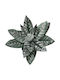 Christmas Alexandrian Flower Frozen Clip Cypress 30x15cm 306.035.0045.75