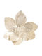 Christmas Alexandrian Flower Pearls Clip Ecru 28x12cm 306.035.0046.23
