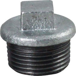 Capac Galvanizat 2" 2mm