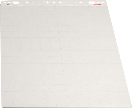 Esselte E Flip Chart Board 55x71cm Eco 50 Sheets