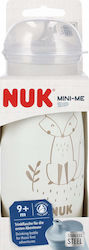 Nuk Чаша за 9м+ 300 мл Nuk Чаша за 9м+ 300 мл