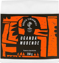 Bracia Ziółkowscy Espresso Chocolate σε Κόκκους 250gr