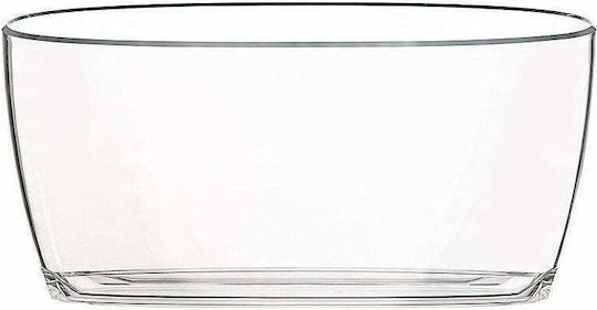 Tadar Champagners simplu Acrilic Transparent cu Dimensiuni 48x21cm