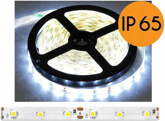 Eco Light Αδιάβροχη Ταινία LED Ψυχρό Λευκό Φως 5m Τύπου SMD2835