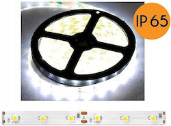 Eco Light Αδιάβροχη Ταινία LED 12V Φυσικό Λευκό 5m