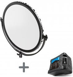 Newell SET1217 Αξεσουάρ Studio Newell SET1217 Αξεσουάρ Studio