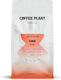 Coffee Plant Filter Coffee Arabica Grains 800gr