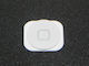 Apple iPhone 5 Бутон Бял HQ