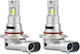 Hb3 9005 LED Birnen 12V 6000K Kaltes Weiß 2 Stück
